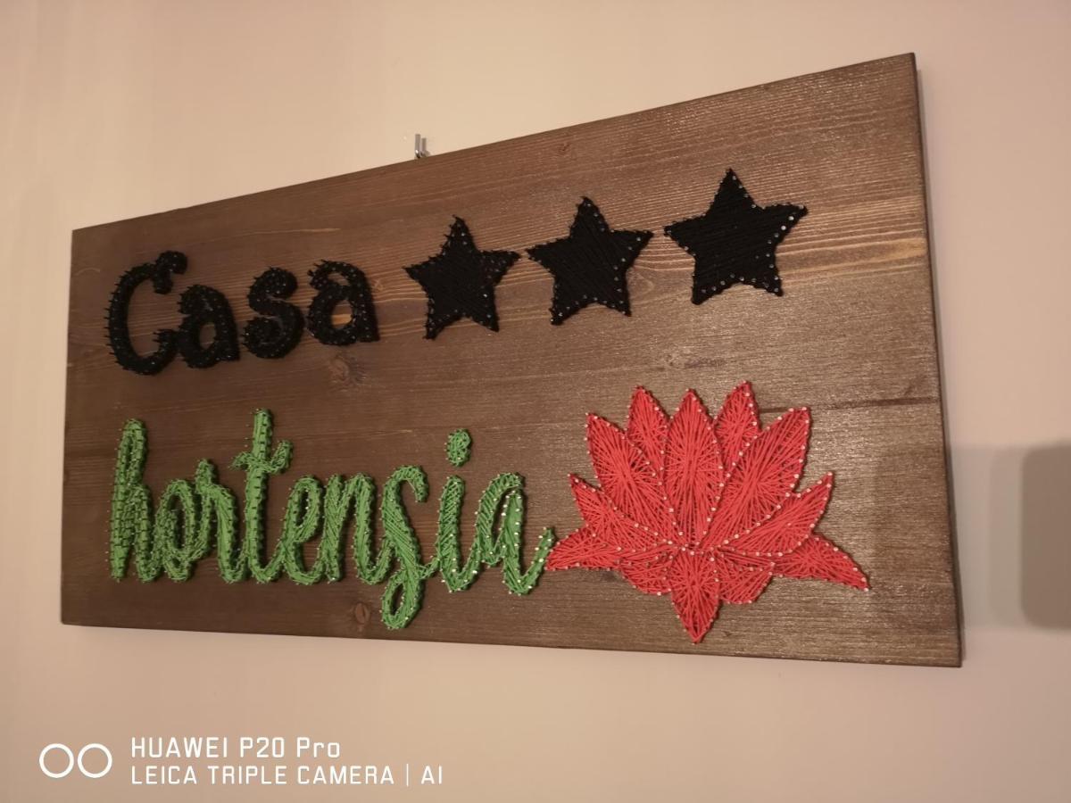 Casa Hortensia Ташнад Екстериор снимка